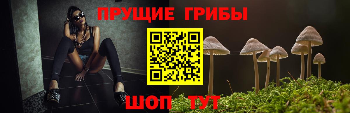 Псилоцибиновые грибы мухоморы Россия